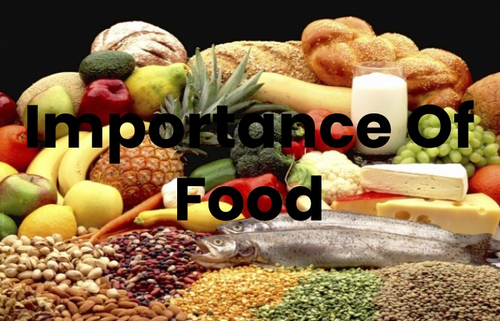 Importance Of Food