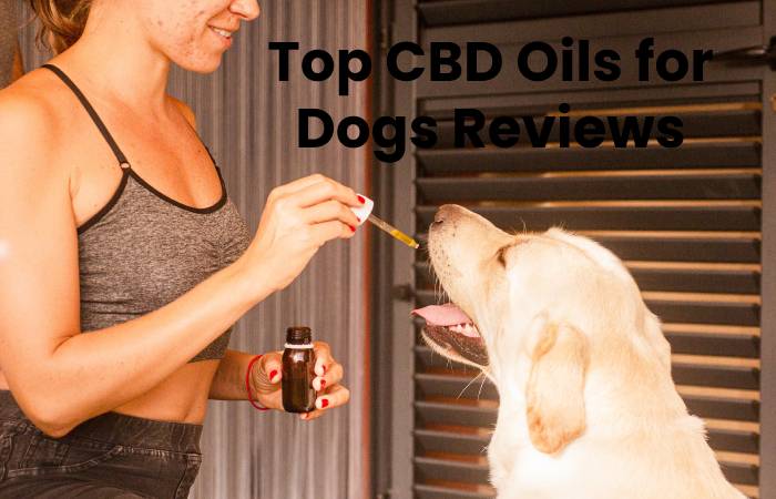 Top CBD Oils for Dogs Reviews