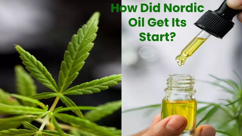 How Did Nordic Oil Get Its Start?